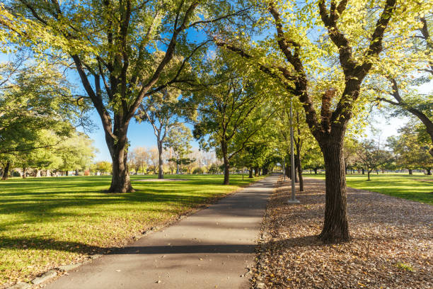 istock Darling Gardens in Clifton Hill Melbourne Australia 1398890001