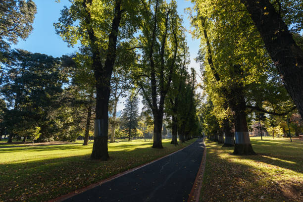 istock Fitzroy Gardens in East Melbourne Victoria Australia 1398890101