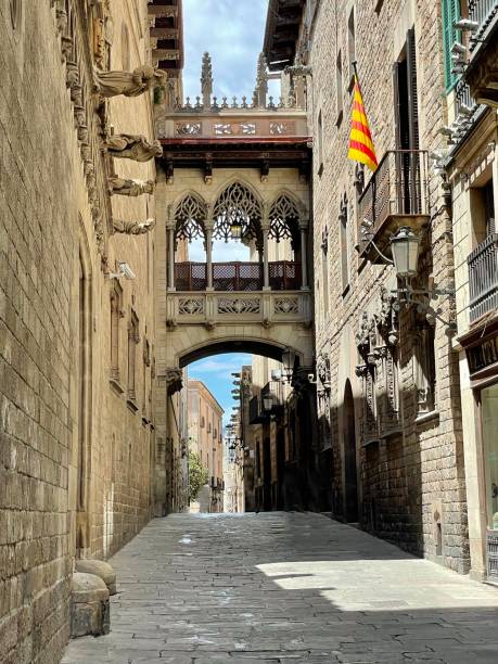 istock Pont del Bisbe, Barcelona, Spain 1398890735