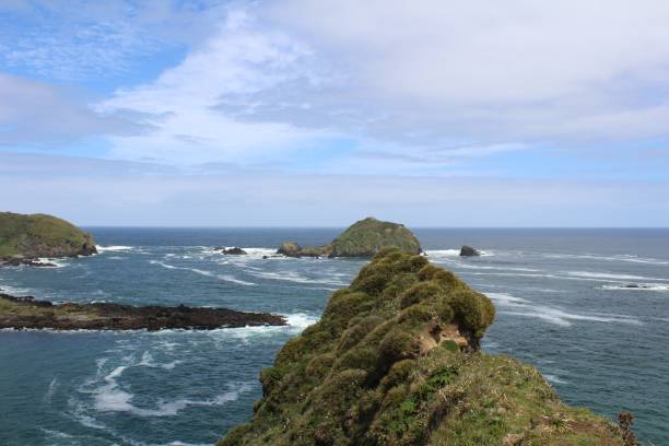 istock Pacific oceano view from Ancud, Chiloe Island, Chile. 1398891137