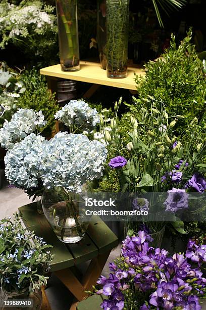 Flower Shop Stock Photo - Download Image Now - Beauty, Blue, Botany