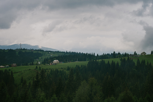 The majestic view in Mountainside full of trees and low clouds, Natural background in outdoors scenes, Cloud Typologies, Carpathians mountains  Ukraine Europe