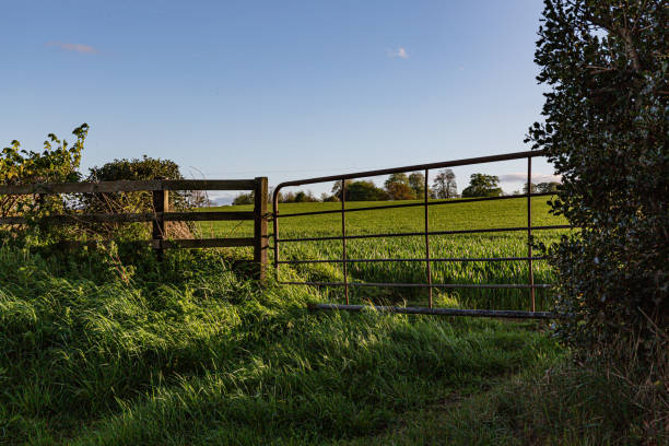istock Farmers fields in the Englsh countryside 1398896179