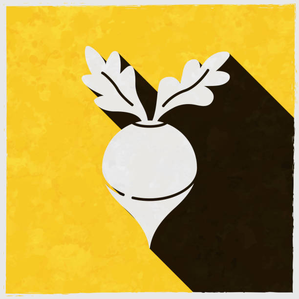 ilustrações de stock, clip art, desenhos animados e ícones de radish. icon with long shadow on textured yellow background - root paper black textured