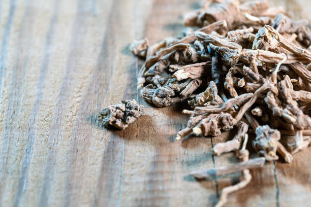 istock chinese medicine polygala tenuifolia root on wooden table 1398896329