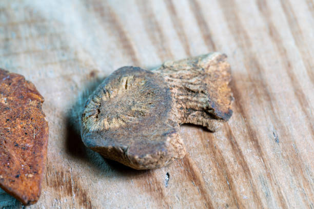 istock chinese medicine Fried atractylodes on wooden table 1398896518