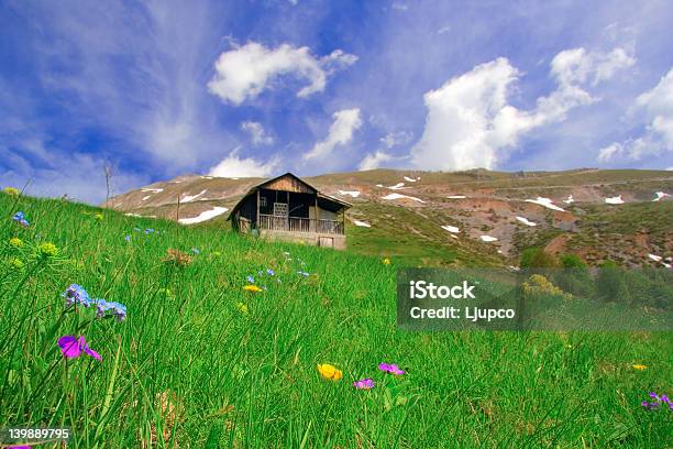 Góra Hut I Meadow - zdjęcia stockowe i więcej obrazów Bez ludzi - Bez ludzi, Budowla mieszkaniowa, Budynek z zewnątrz