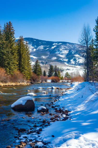 Scenic view of the Blue River, as it flows north to join the Colorado River, during winter.  The view is in Silverthorne, Summit County, Colorado.  Green pine trees and bare aspen trees line the riverbank.