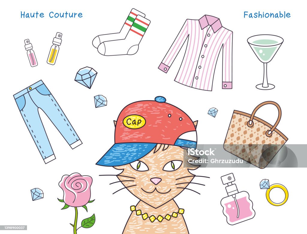 Fashion Designer Cat And Fashionable Items Stock Illustration - Download  Image Now - Jewelry, Bag, Baseball Cap - iStock
