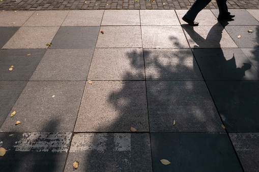 Shadows left on the ground by pedestrians