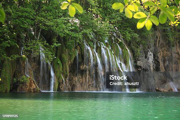 Photo libre de droit de Des Cascades banque d'images et plus d'images libres de droit de Activité de loisirs - Activité de loisirs, Animaux à l'état sauvage, Caillou