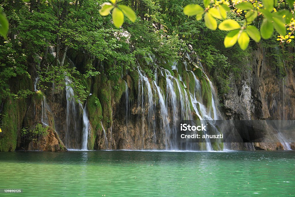 Cachoeiras - Foto de stock de Animal selvagem royalty-free