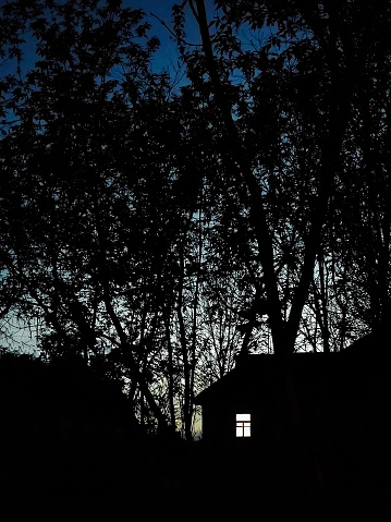 Night shot of a country house with a lighted window against the background of tree branches and the night sky. The concept of peace, magic, idyll and home