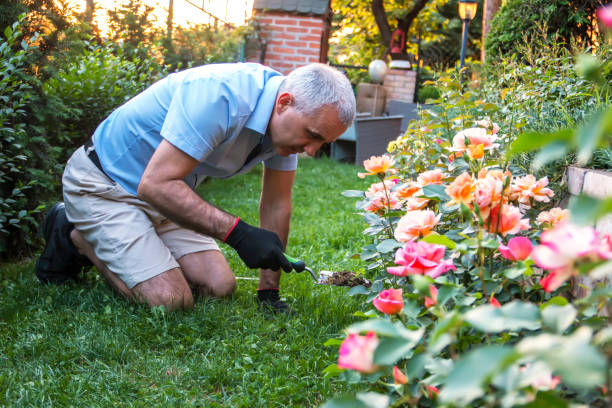 istock Mature man working at garden 1398904920