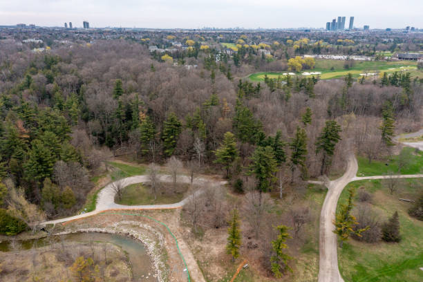 istock Boyd Conservation Park in Springtime, Vaughan, Ontario, Canada 1398904966