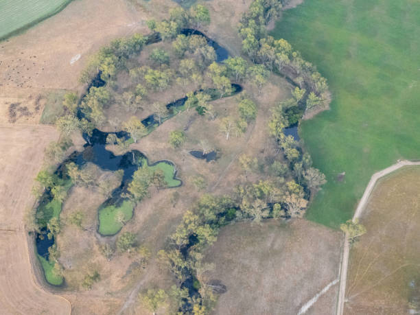 istock Aerial photos of dry fields and trees with shadows 1398905065