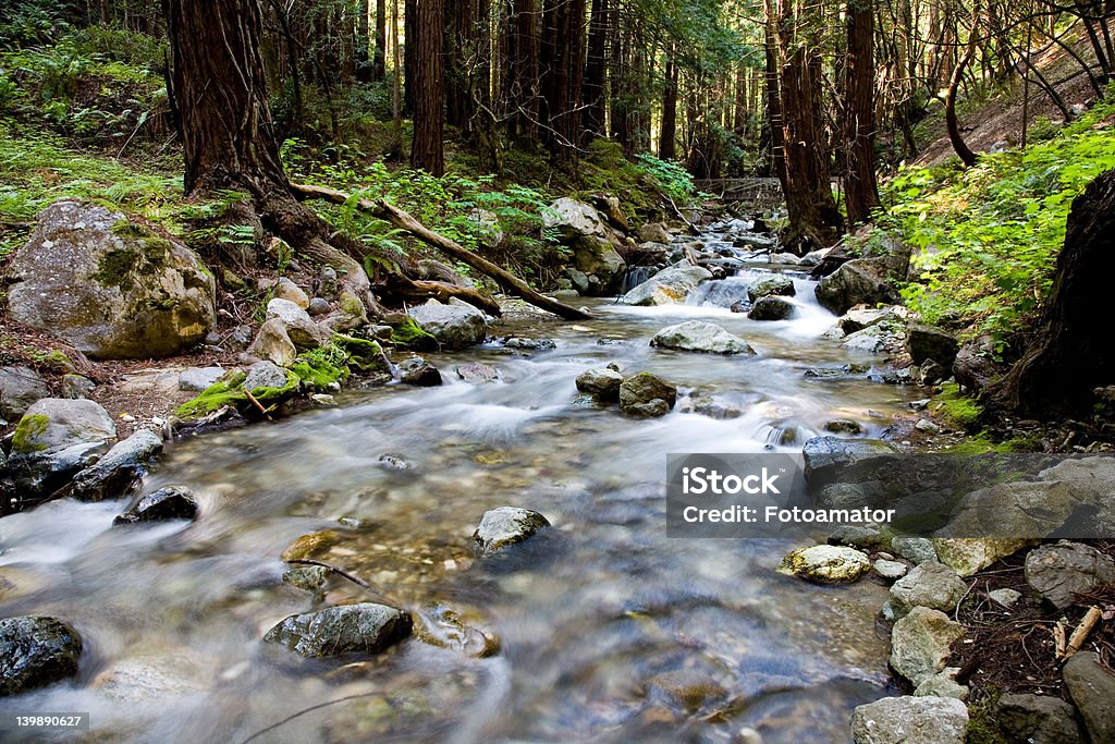 Río de montaña - Foto de stock de Big Sur libre de derechos