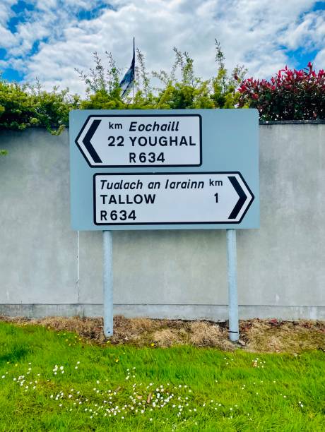 istock Youghal and tallow road sign 1398907755