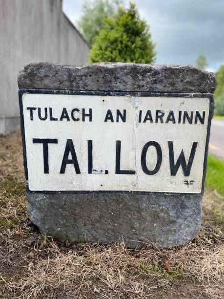 istock Tallow town road sign 1398908570