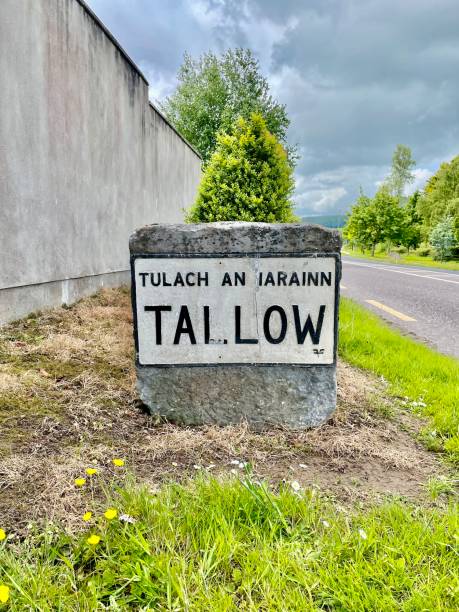 istock Tallow town road sign 1398908582