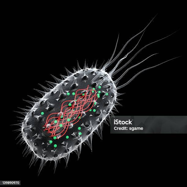 Bactérias - Fotografias de stock e mais imagens de Bactéria - Bactéria, Biologia, Ciência