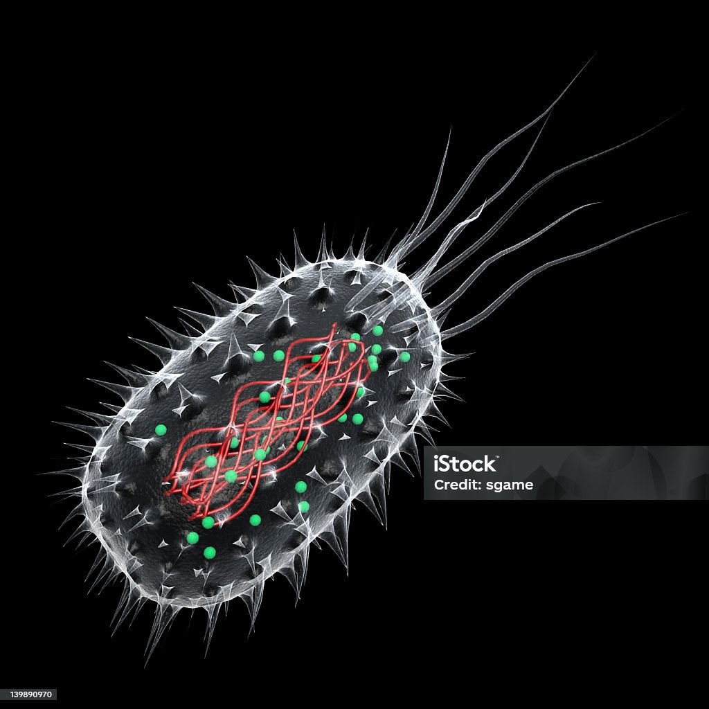 Бактерии - Стоковые фото Бактерия роялти-фри