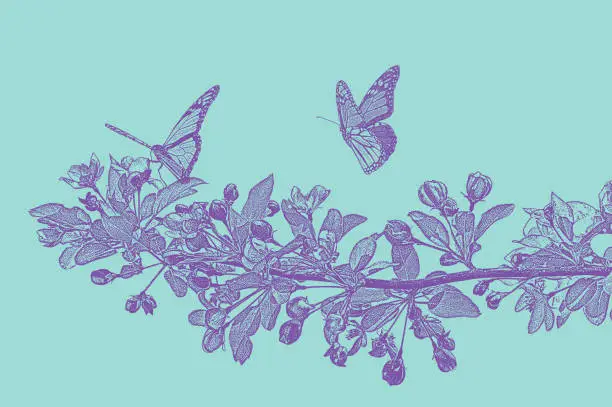 Vector illustration of Apple blossoms and Monarch Butterflies