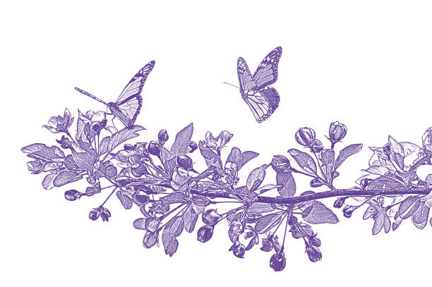 яблони и бабочки-монар�хи - butterfly monarch butterfly spring isolated stock illustrations