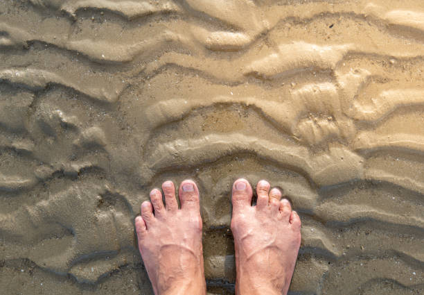 istock Set foot on the sand, tread on the sand. 1398916121