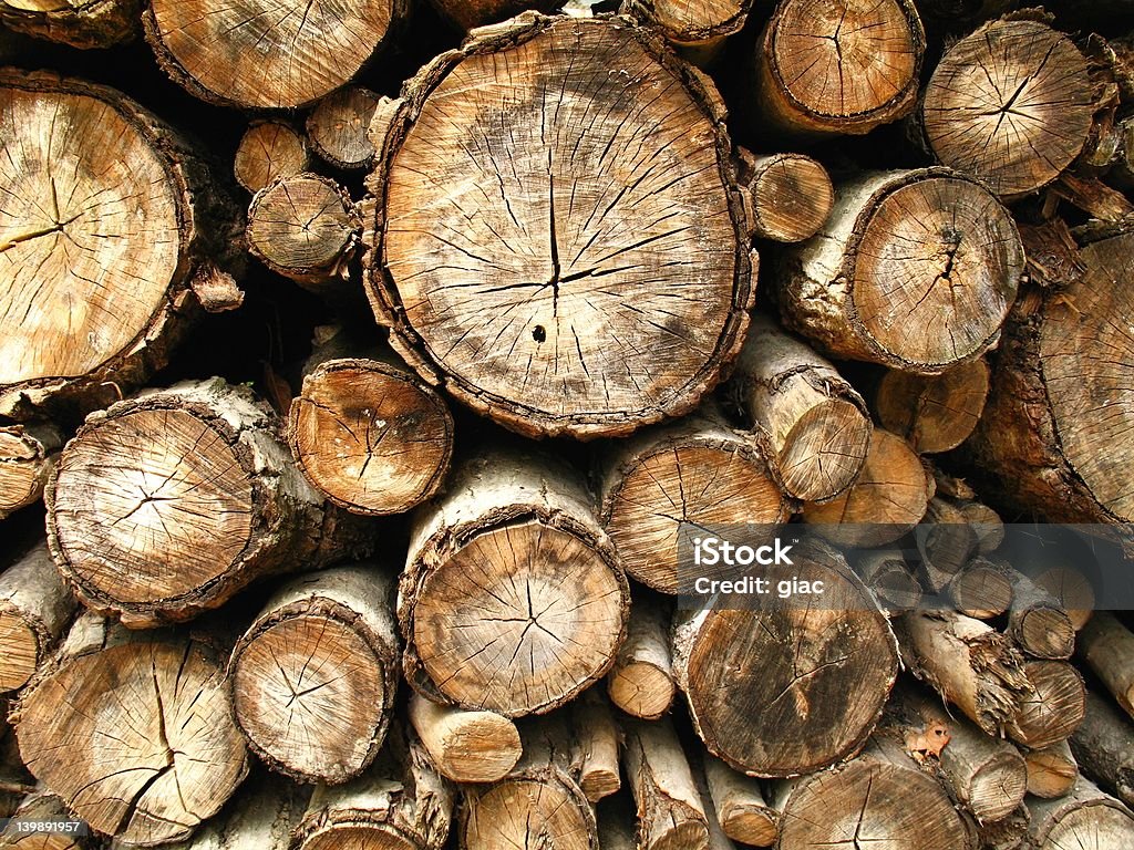 bolivianischer Holz - Lizenzfrei Ausgedörrt Stock-Foto