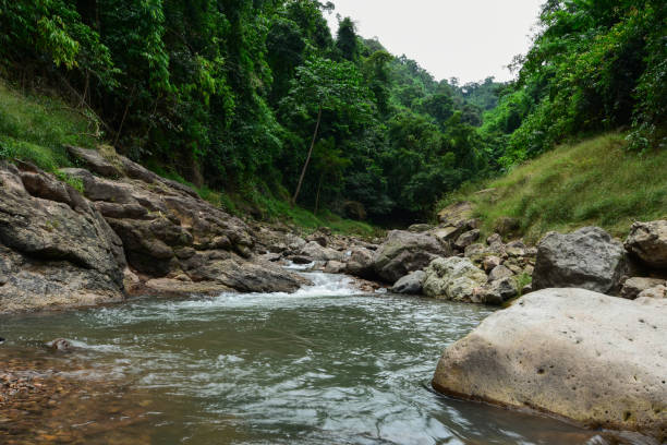 A large stream in the middle of the valley A beautiful stream in the middle of a large valley thames valley stock pictures, royalty-free photos & images