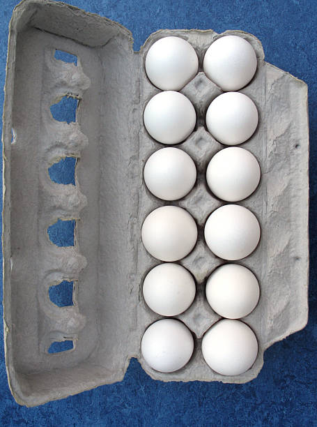 caixa de ovos - cholesterol ellipse shell box - fotografias e filmes do acervo