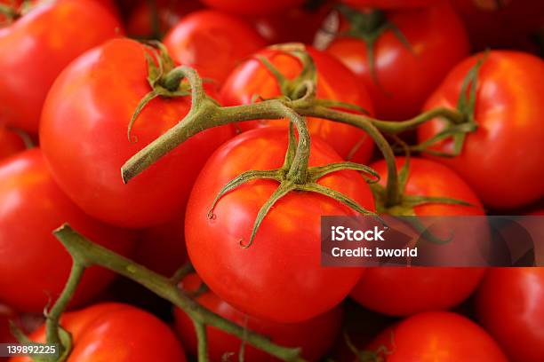 Fantastische Frische Reife Rote Tomaten Auf Der Vine Stockfoto und mehr Bilder von Farbbild