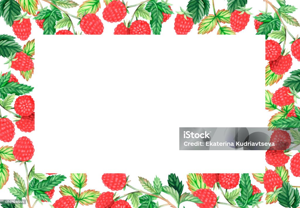 Raspberry Border Rectangle Rectangle Raspberry Frame Watercolor Illustration Isolated On A White ...