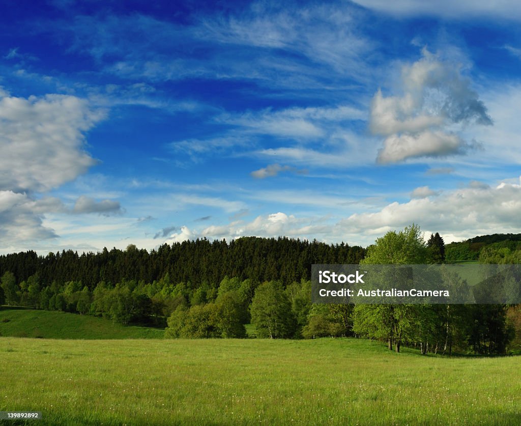 Pequeña Valley - Foto de stock de Agricultura libre de derechos