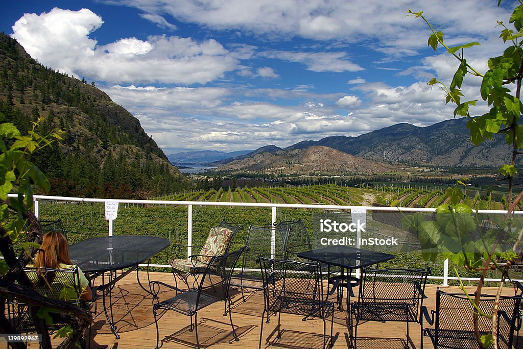 Okanagan Vineyard - Lizenzfrei Aussicht genießen Stock-Foto