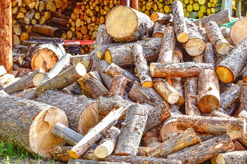 Picture of woodpile.  Though the grass is green, it is never to early to start preparing for the winter months ahead. Preparing for winter in Alaska requires lots of wood.