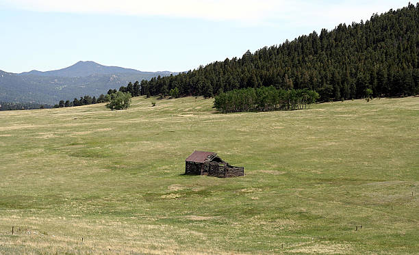 vista para as montanhas - four animals four objects four people cleanup - fotografias e filmes do acervo