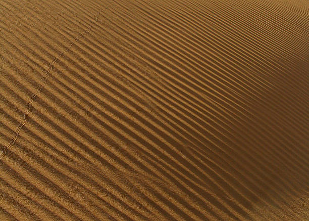 sand texture stock photo