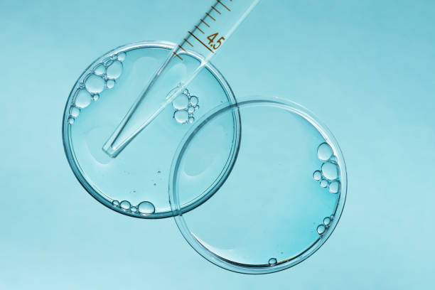 istock Laboratory Petri dishes with liquid and pipette. 1398937947