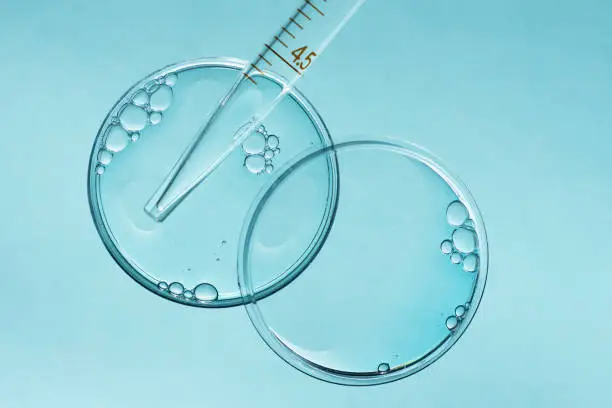 Photo of Laboratory Petri dishes with liquid and pipette.