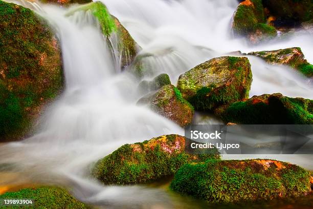 Brook En El Bosque Foto de stock y más banco de imágenes de Agua - Agua, Aire libre, Belleza