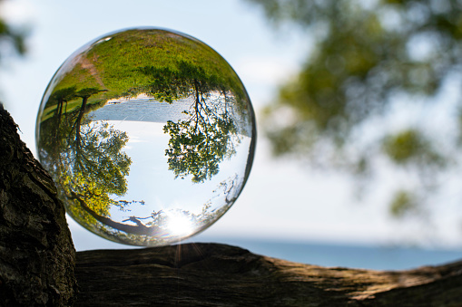 Scandinavian nature with trees, sea and grass in springtime outside and inside. Focus  taking care of nature and the climate shown with nature encased in a luminous crystal ball. The ball is placed on a tree trunk with a view on the sea.