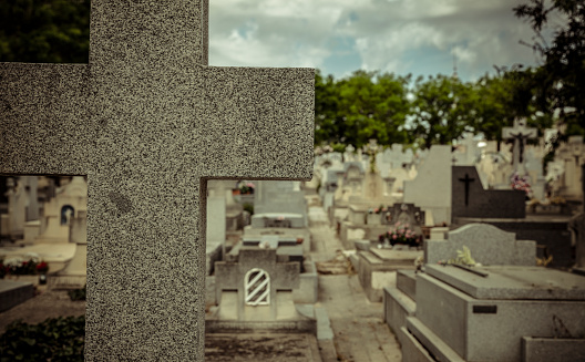 Silent granite headstones on verdant grass, portraying a poignant and mysterious scene, perfect for Halloween, memorial, or eerie design themes and offering copy space for personalized text.