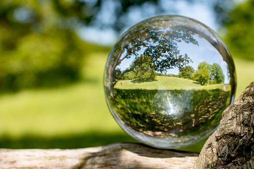 Scandinavian nature with trees, sea and grass in springtime outside and inside a crystalball. Focus  taking care of nature and the climate shown with nature encased in a luminous crystal ball. The ball is placed on a tree trunk with a view on the sea.