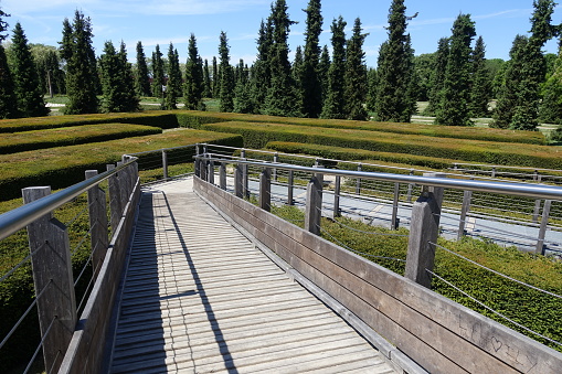 Footbridge dominates a plant maze In the background an alley lined with conifers