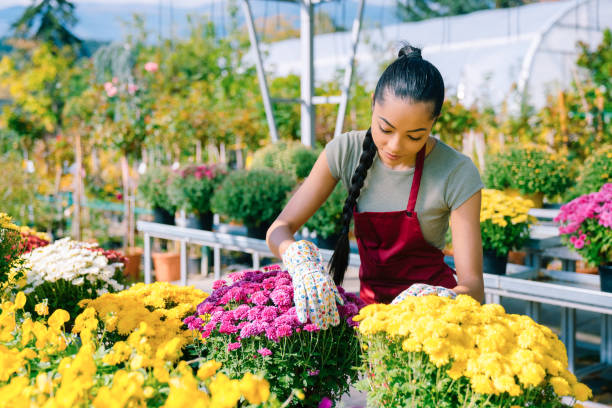 istock Flower market 1398943812