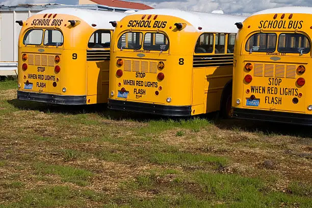 Rear view of three old school buses