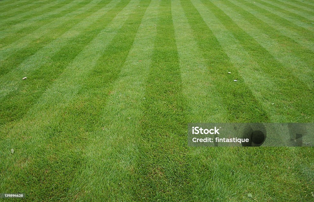 Lawn cut with stripes grass lawn cut with stripes Grass Stock Photo