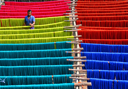 Weavers rinse the colourful Jute fibre to dry under sun which will be used to extract threads to make handloom dresses. The traditional dress of an Indian Woman is Saree which is very popular throughout the World for its design, variety, textures, and colours. Santipur & Fulia from Nadia districts of West Bengal, India where 90 % population are engaged in weaving activities from long Generation